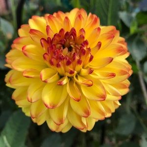 Meet your Posher, Ruth